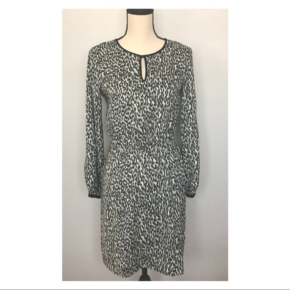 Zara Cheetah Dress